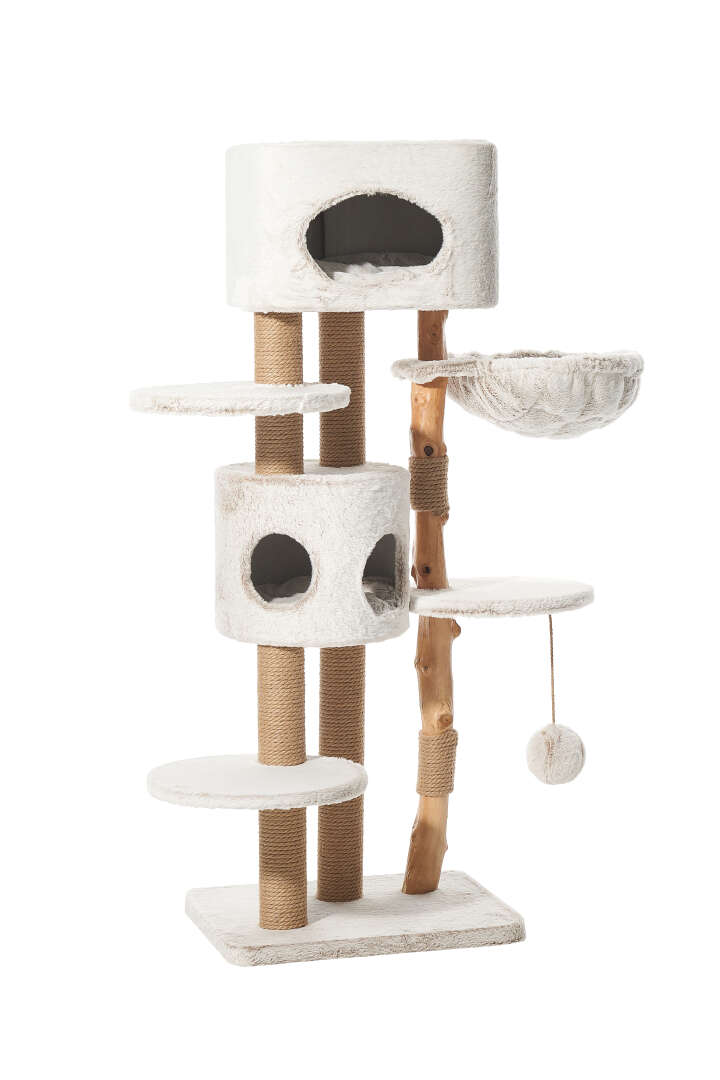 Nobby Kratzbaum Loya